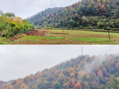-新安江山水画廊风景区