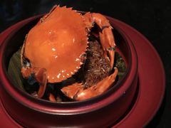 重壳蟹米糕-遇外滩(BFC外滩金融中心店)