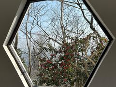 -句容茅山景区