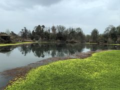 -桤木河湿地公园