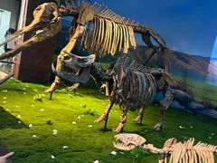 -安徽省地质博物馆