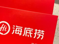 -海底捞大排档火锅(悦荟广场店)