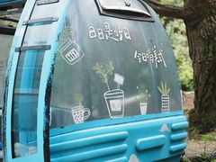 -苍山感通索道