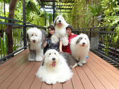 -TrueLove @ Neverland (Husky Cafe)