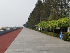 -瀛洲公园