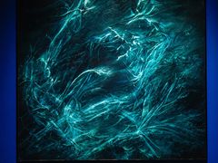 -上海宝龙美术馆