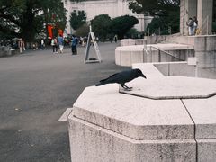 -东京国立博物馆