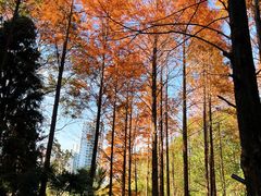 -苏州河梦清园环保主题公园