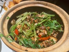 啫啫牛蛙-煲煲好(朝阳门店)