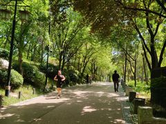 -西安曲江寒窑遗址公园