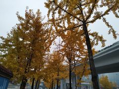 -高庙村(地铁站)