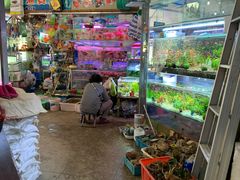 -双季花艺园艺市场(浦东店)