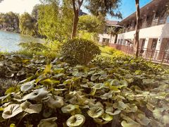 -上海怡沁园度假酒店