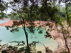 -广州市流溪河国家森林公园