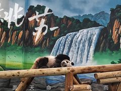 -秦皇岛野生动物园