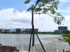 -琅岐红光湖公园
