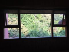 -天门沟九州驿站树上汤泉