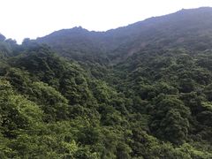 -银瓶嘴森林公园