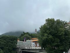 -深圳仙湖植物园