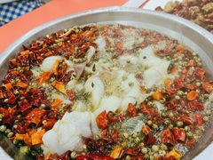 沸腾鱼-天天沸腾(东港路店)