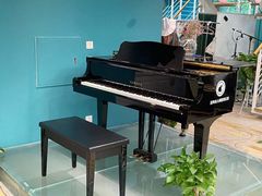 -圣典成人钢琴俱乐部(国贸旗舰校区)