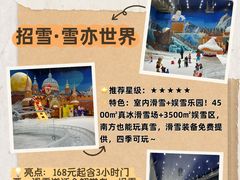-灵玲国际马戏城