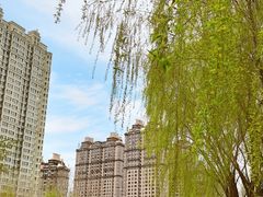 -群力丁香公园