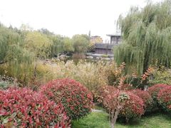 -鹦鹉寺公园