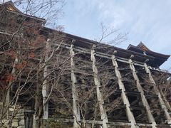 -有栖山 清光院 清水寺