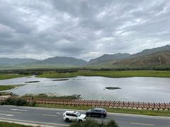 -郭莽湿地