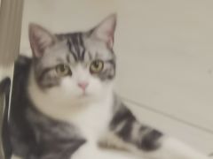 -子乐宠物医院