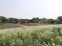 -保利石象湖景区