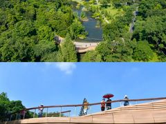 -云溪植物园
