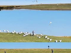 -黑龙江扎龙生态旅游区