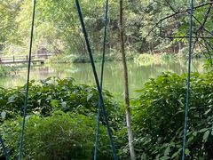 -桂林古东瀑布景区