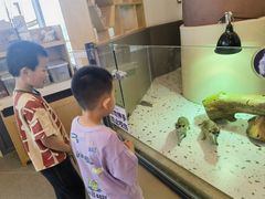 -FAIRYLAND龙族星球主题餐厅(凯丹广场店)