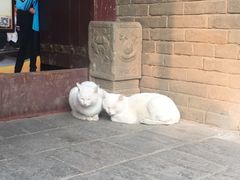 -白鹿原影视城