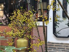 -31号公馆(黄兴广场白果园店)