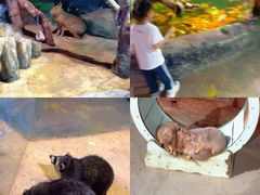 -正佳雨林生态植物园