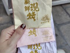 -西双版纳原始森林公园