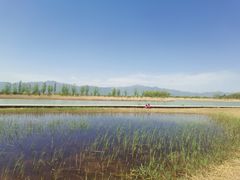 -野鸭湖国家湿地公园