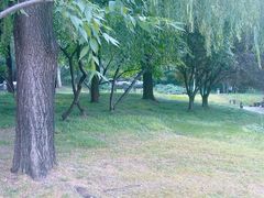 -元大都城垣遗址公园