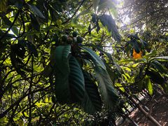 -祥源·阜阳生态乐园