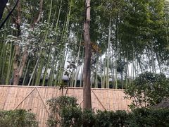-长安先导国际创新人才交流中心