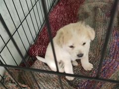 -兰剑驾校(汉阳校区)