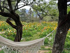 -名花谷生态庄园