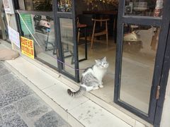 -黄记玉米汁(叠翠路店)