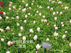 -国家植物园