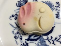 福兔果-北京稻香村(方庄店)