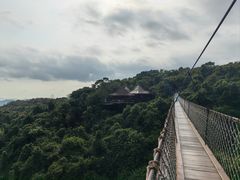 -三亚亚龙湾人间天堂鸟巢度假村